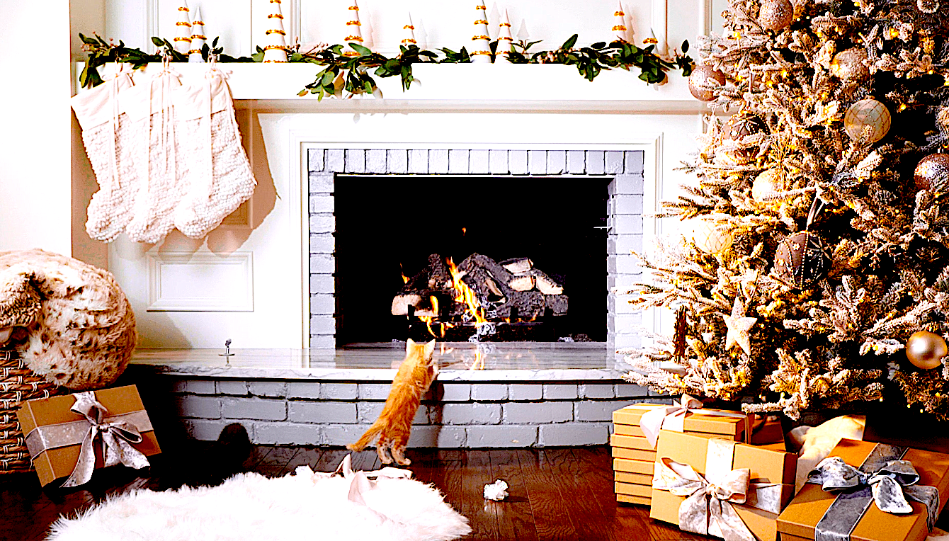Bûche de Noël vidéo photo 2